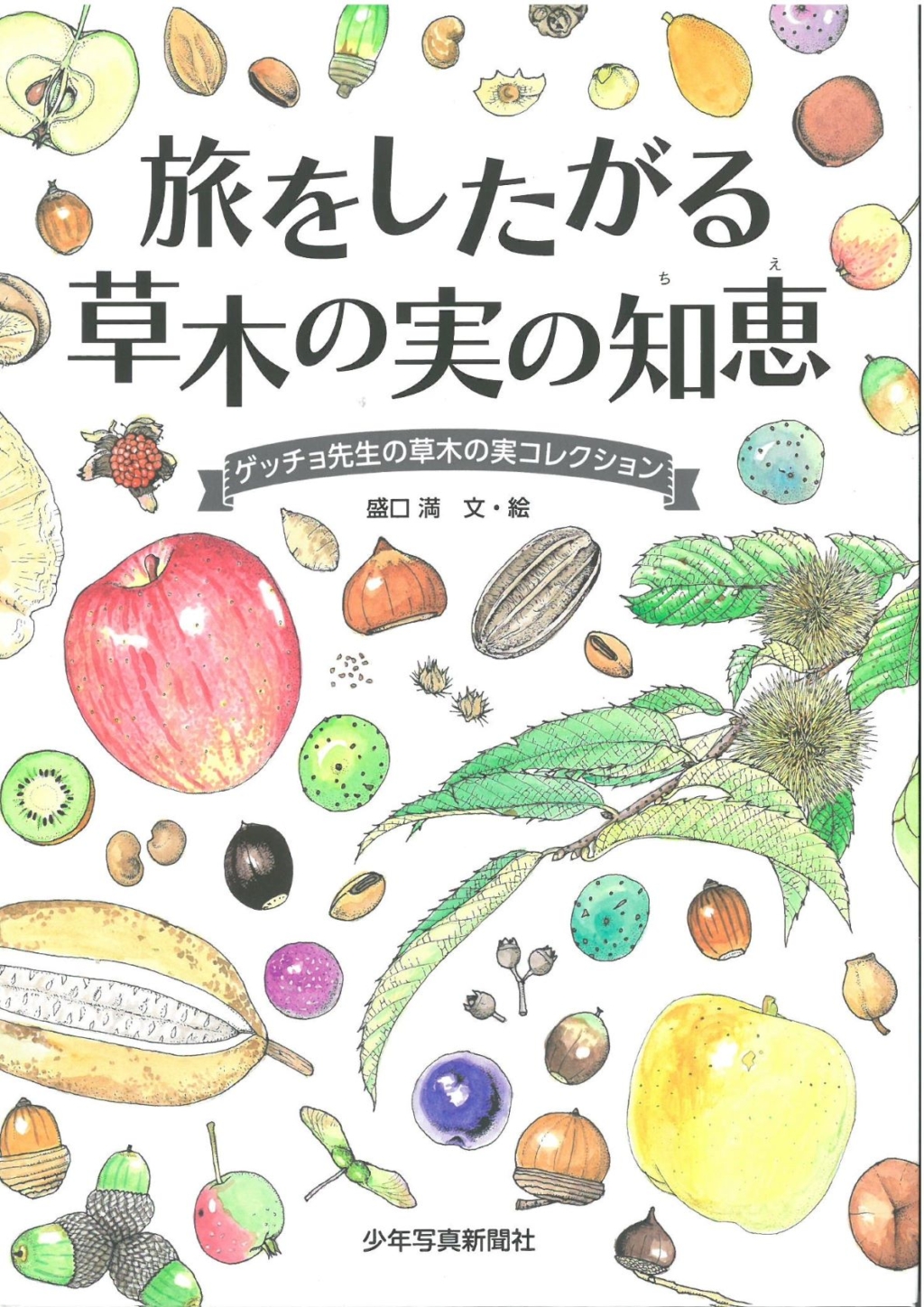 出版のご案内 旅をしたがる草木の実の知恵 盛口満学長 沖縄大学 出版のご案内 旅をしたがる草木の実の知恵 盛口満学長 沖縄大学